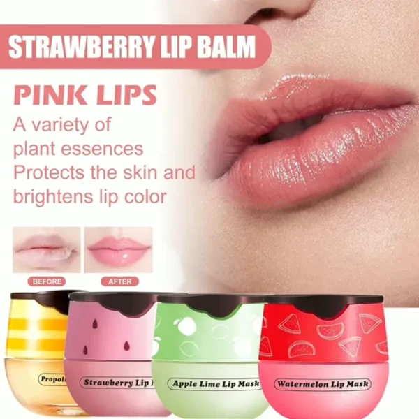 Natural Lip Balm Pot, 4 Pieces Assorted Varieties