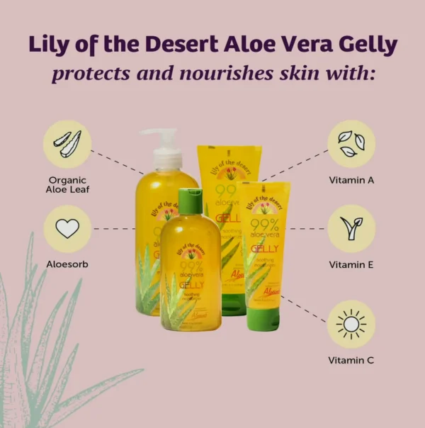 Aloe Moisturizer by Lily of the Desert